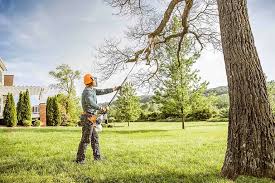 Best Emergency Tree Removal  in Sidney, IL